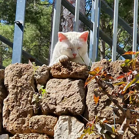 Apartman Denia - Golf La Sella 